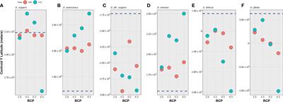 Projecting future climate change impacts on the distribution of the ‘Octopus vulgaris species complex’